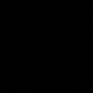 Meet your Posher, Wade